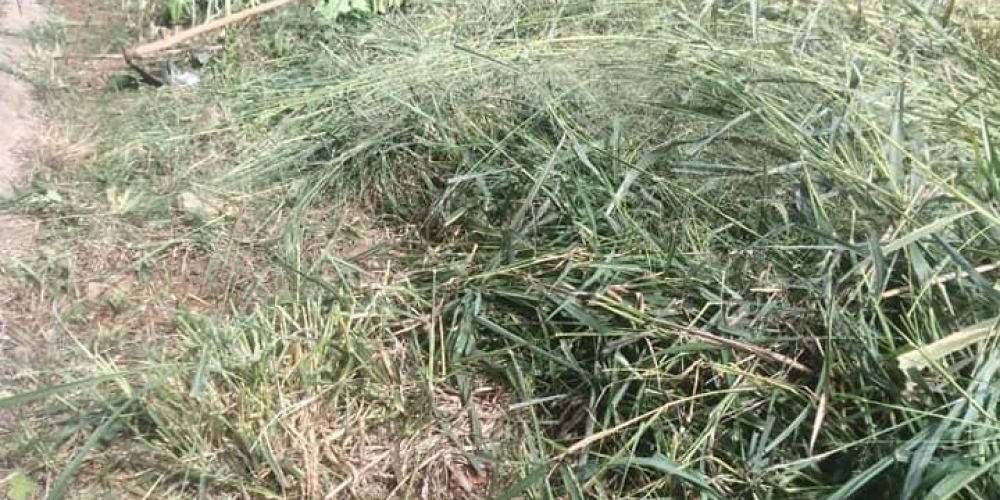 20230722_173953_0000