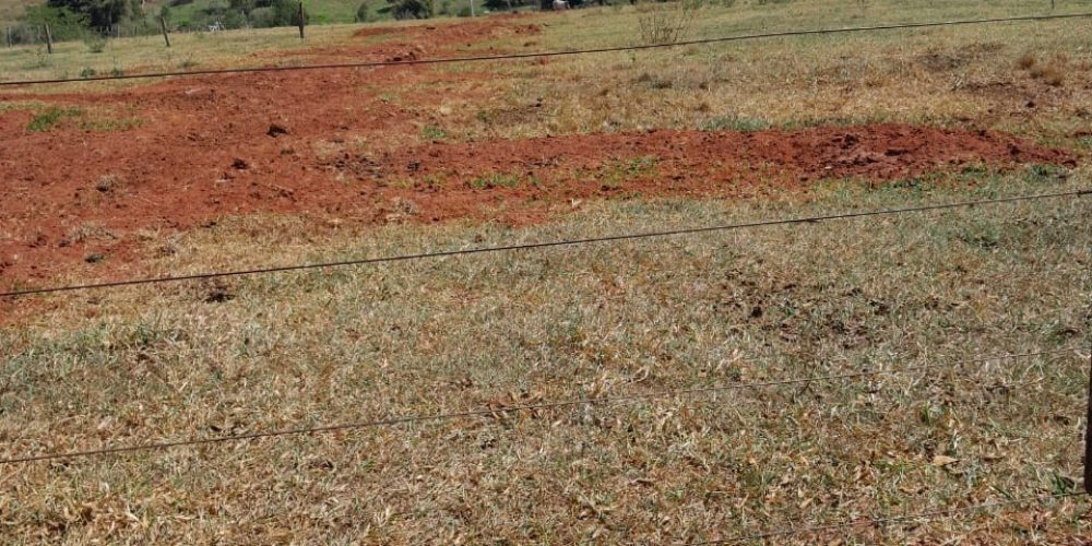 WhatsApp Image 2023-08-31 at 13.58.07 (1)