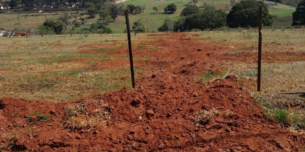 WhatsApp Image 2023-08-31 at 13.58.07 (2)