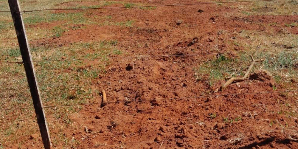 WhatsApp Image 2023-08-31 at 13.58.07 (3)