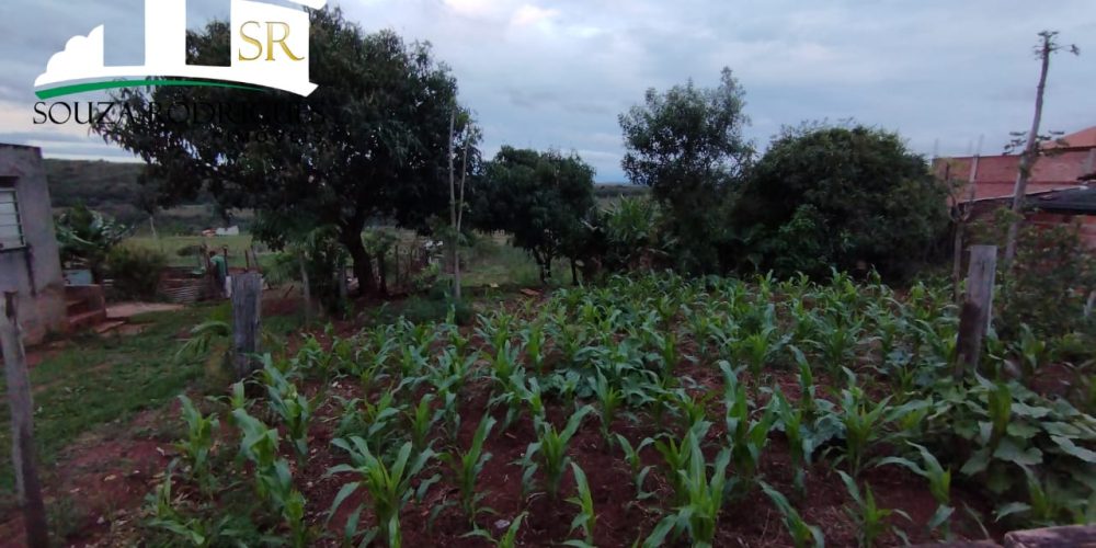 WhatsApp Image 2023-08-31 at 16.11.14 (1)