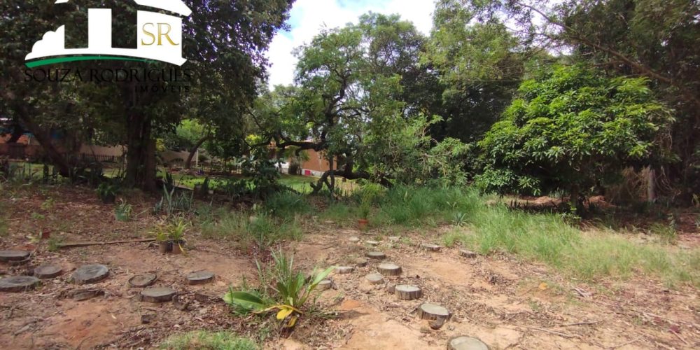 WhatsApp Image 2024-04-16 at 16.25.12