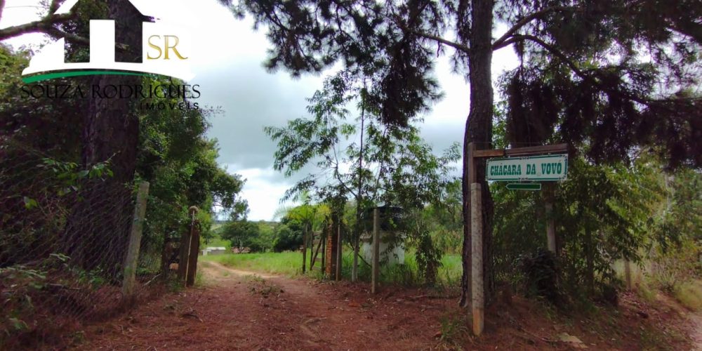 WhatsApp Image 2024-04-16 at 16.25.14 (2)