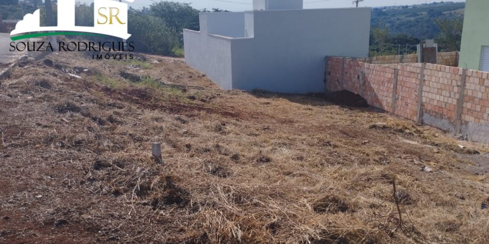 WhatsApp Image 2024-05-16 at 15.51.14 (1)