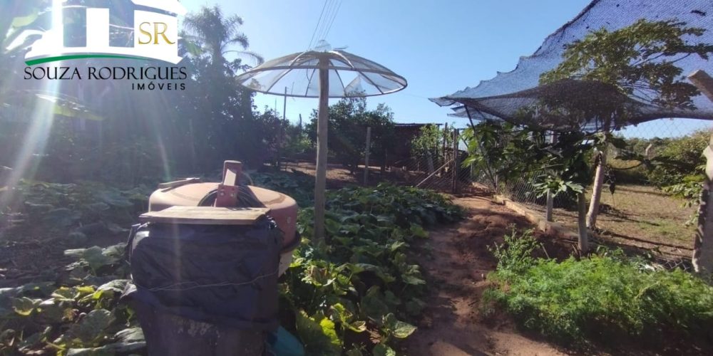 WhatsApp Image 2024-06-17 at 15.42.38