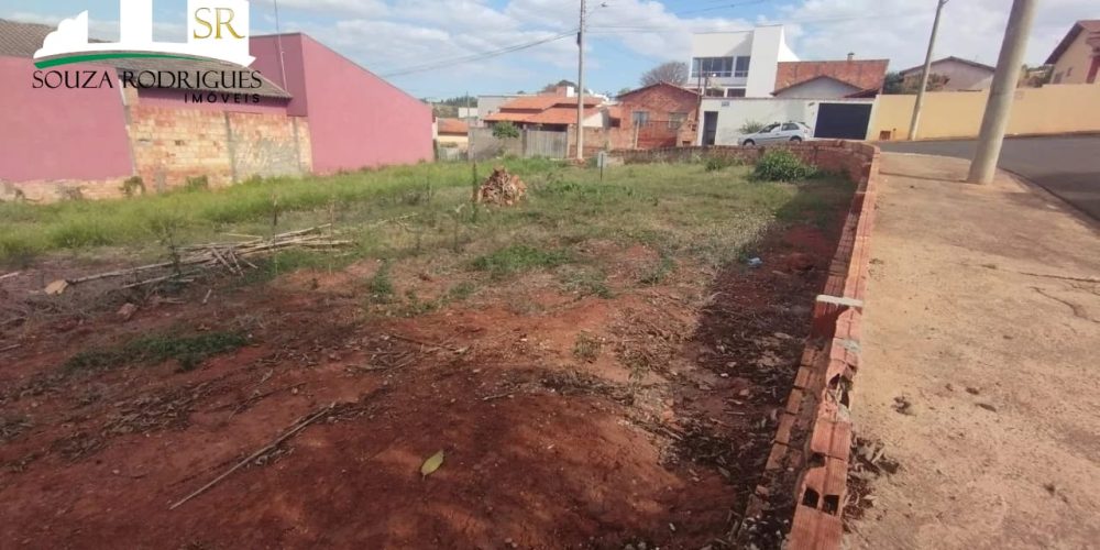 WhatsApp Image 2024-07-03 at 17.12.34 (2)