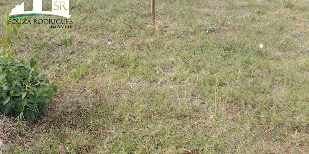 WhatsApp Image 2024-07-03 at 17.12.36