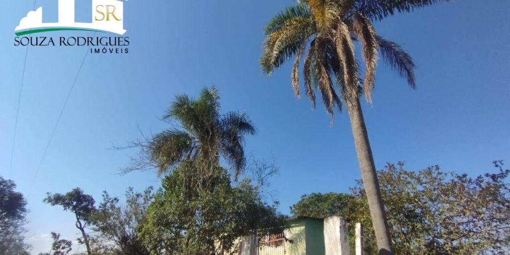 WhatsApp Image 2024-07-24 at 16.22.18 (1)