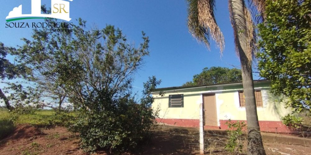 WhatsApp Image 2024-07-24 at 16.22.18 (3)