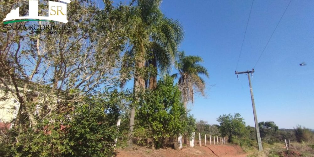 WhatsApp Image 2024-07-24 at 16.22.18