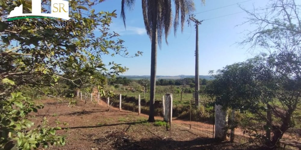 WhatsApp Image 2024-07-24 at 16.22.19 (1)