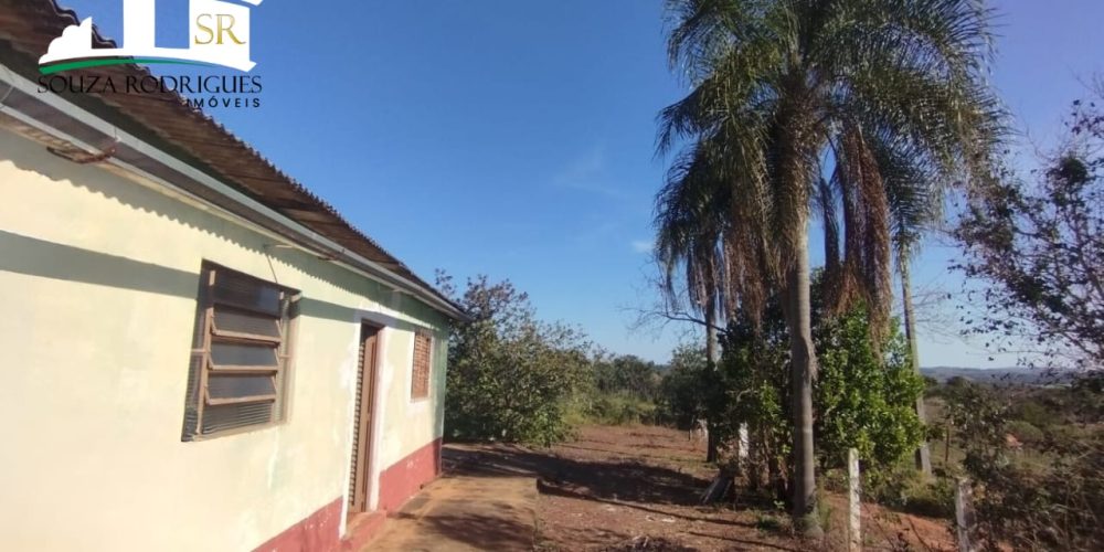 WhatsApp Image 2024-07-24 at 16.30.48