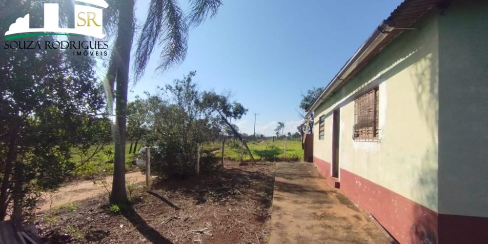 WhatsApp Image 2024-07-24 at 16.30.49