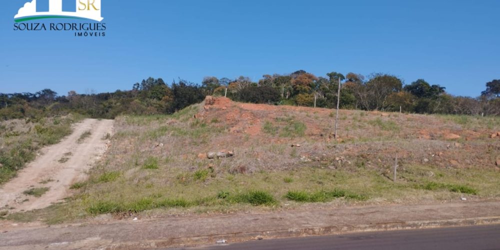 WhatsApp Image 2024-08-06 at 16.02.42