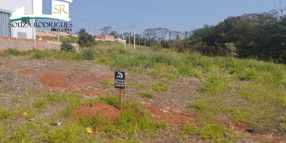 WhatsApp Image 2024-08-19 at 16.38.49 (1)