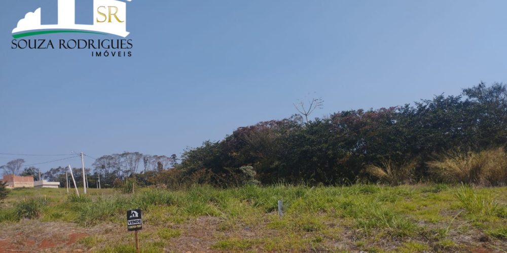 WhatsApp Image 2024-08-19 at 16.38.49