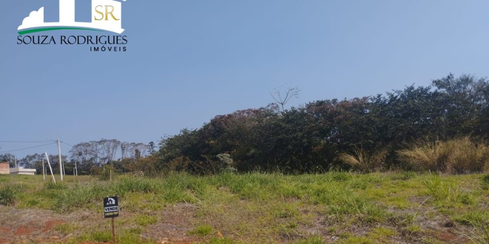 WhatsApp Image 2024-08-19 at 16.38.50 (1)