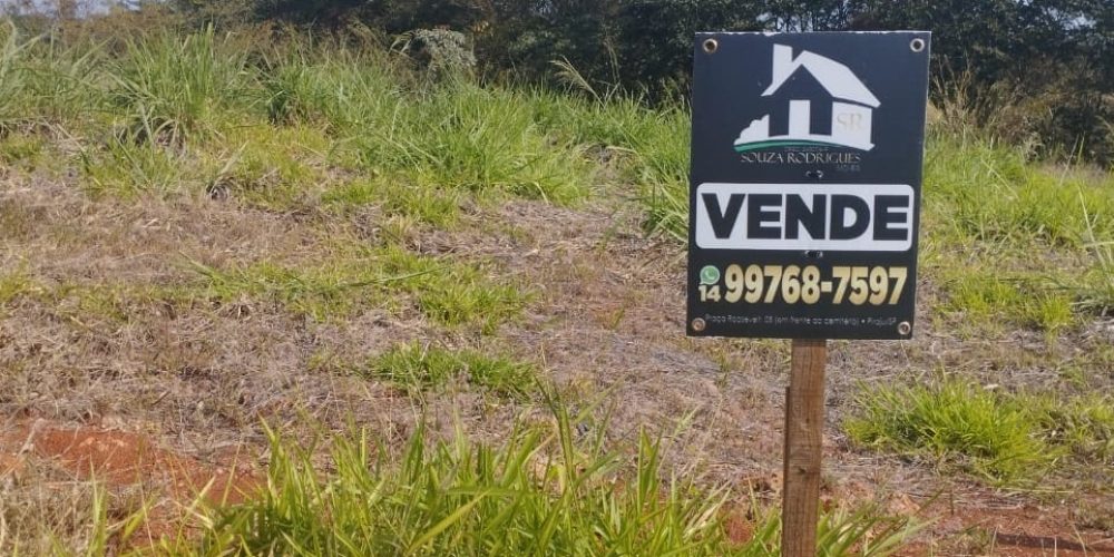 WhatsApp Image 2024-08-19 at 16.38.50