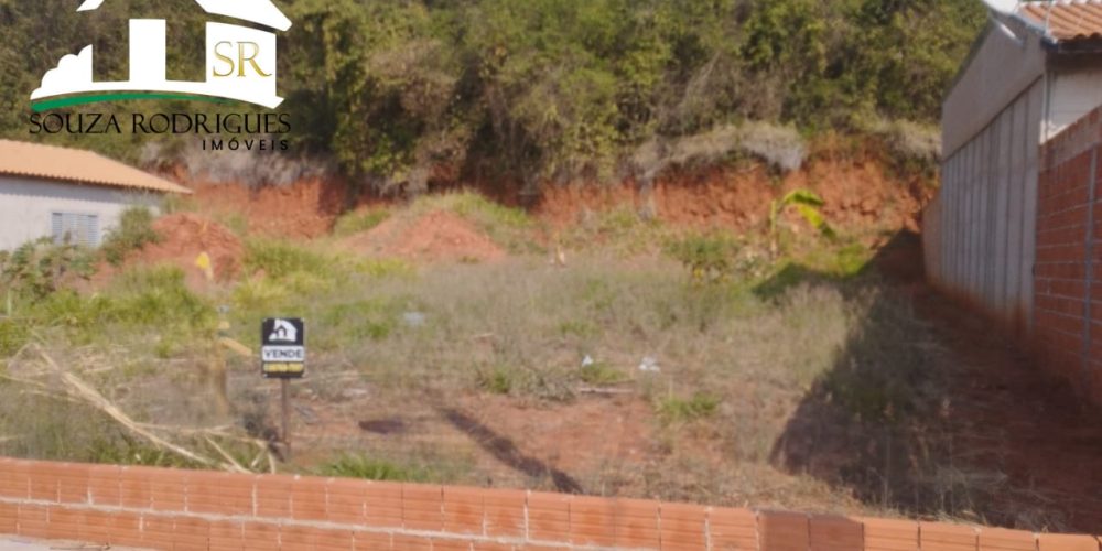 WhatsApp Image 2024-08-19 at 17.54.14 (3)