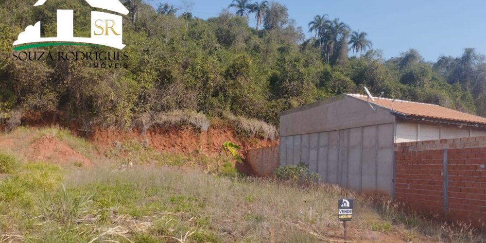 WhatsApp Image 2024-08-19 at 17.54.14