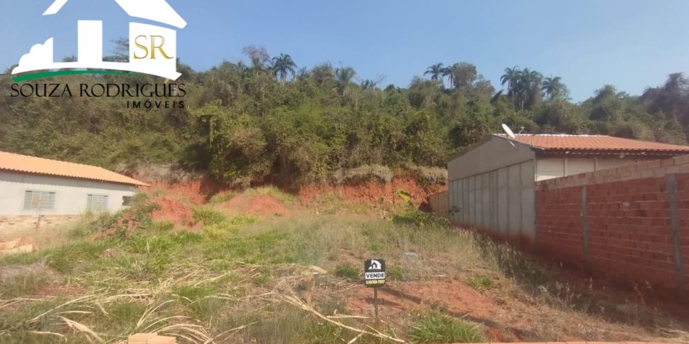 WhatsApp Image 2024-08-19 at 17.54.15