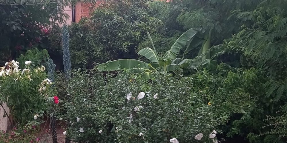 WhatsApp Image 2024-08-19 at 18.34.27