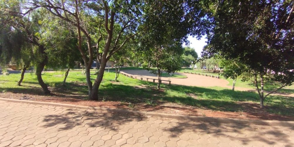 WhatsApp Image 2024-10-31 at 16.34.42